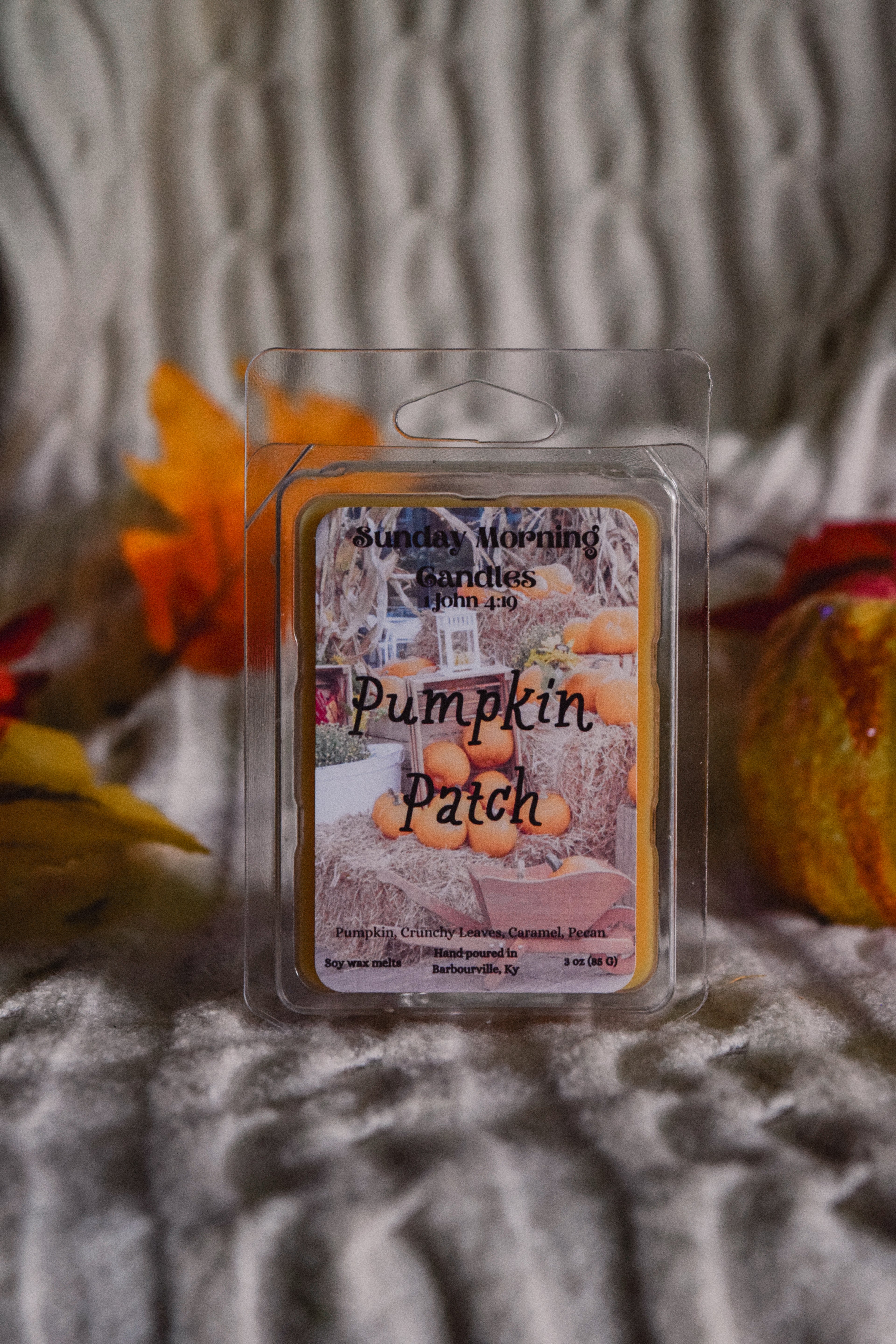 Pumpkin Patch Wax Melt