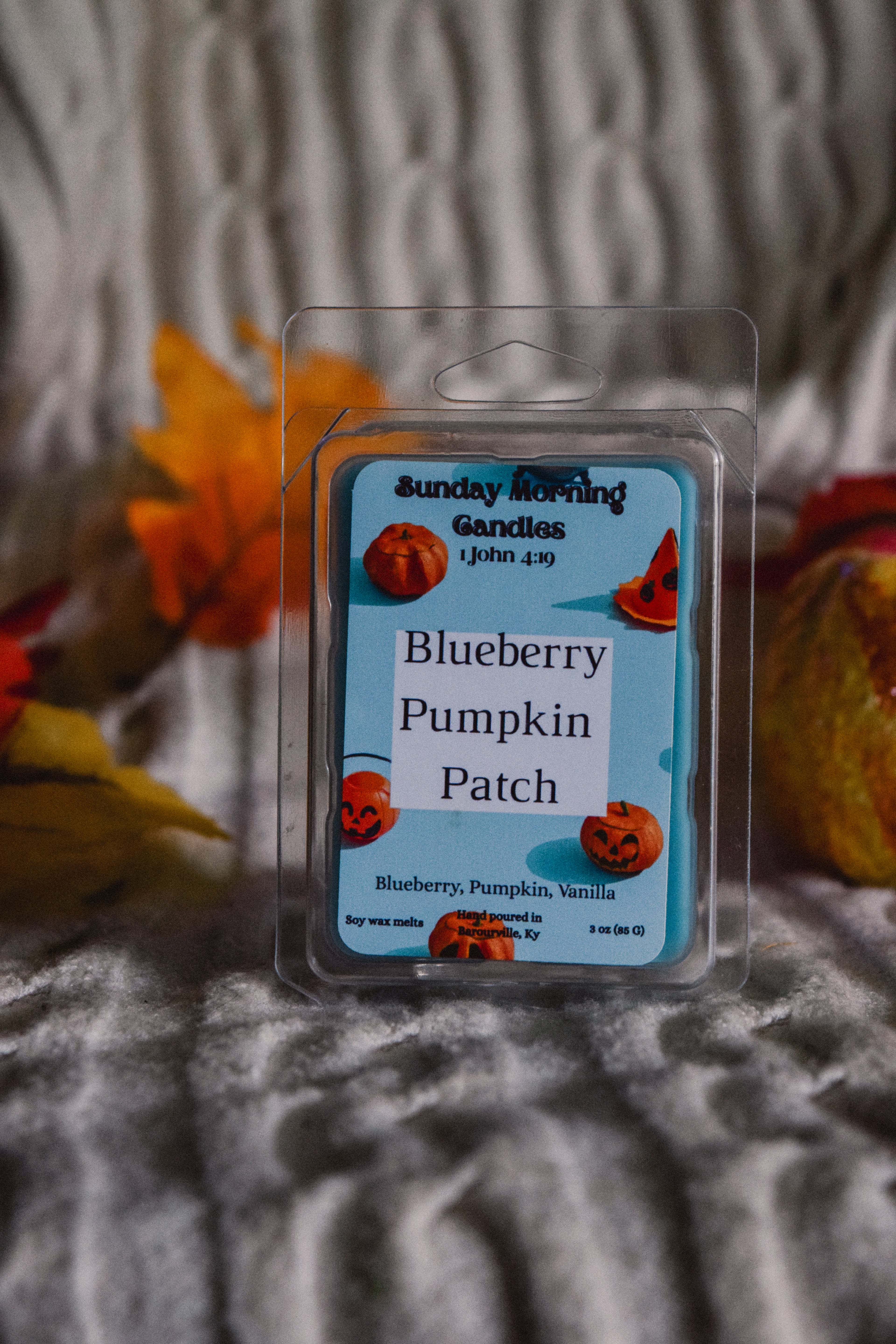 Blueberry Pumpkin Patch Wax Melt