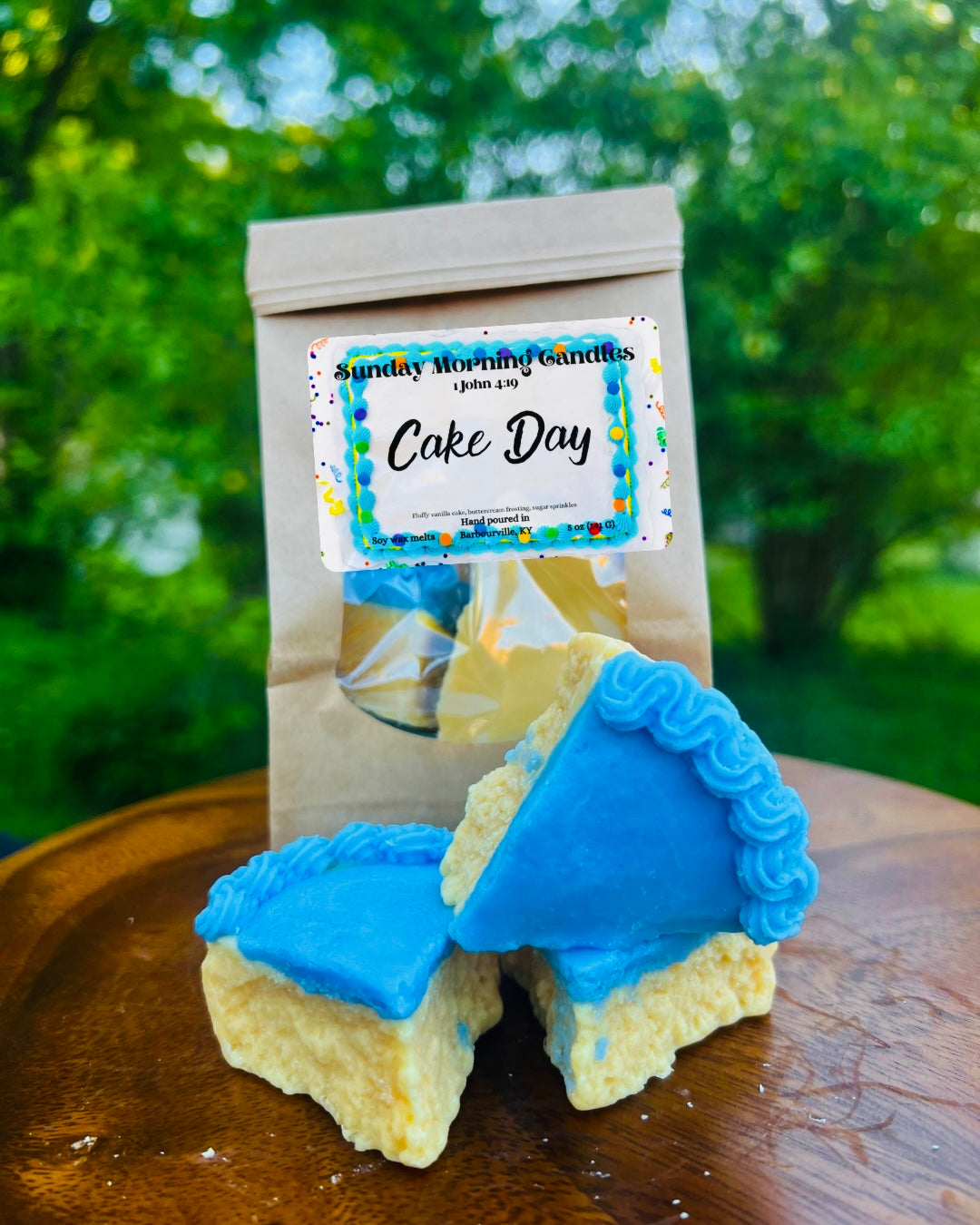Cake Day Slices Wax Melt