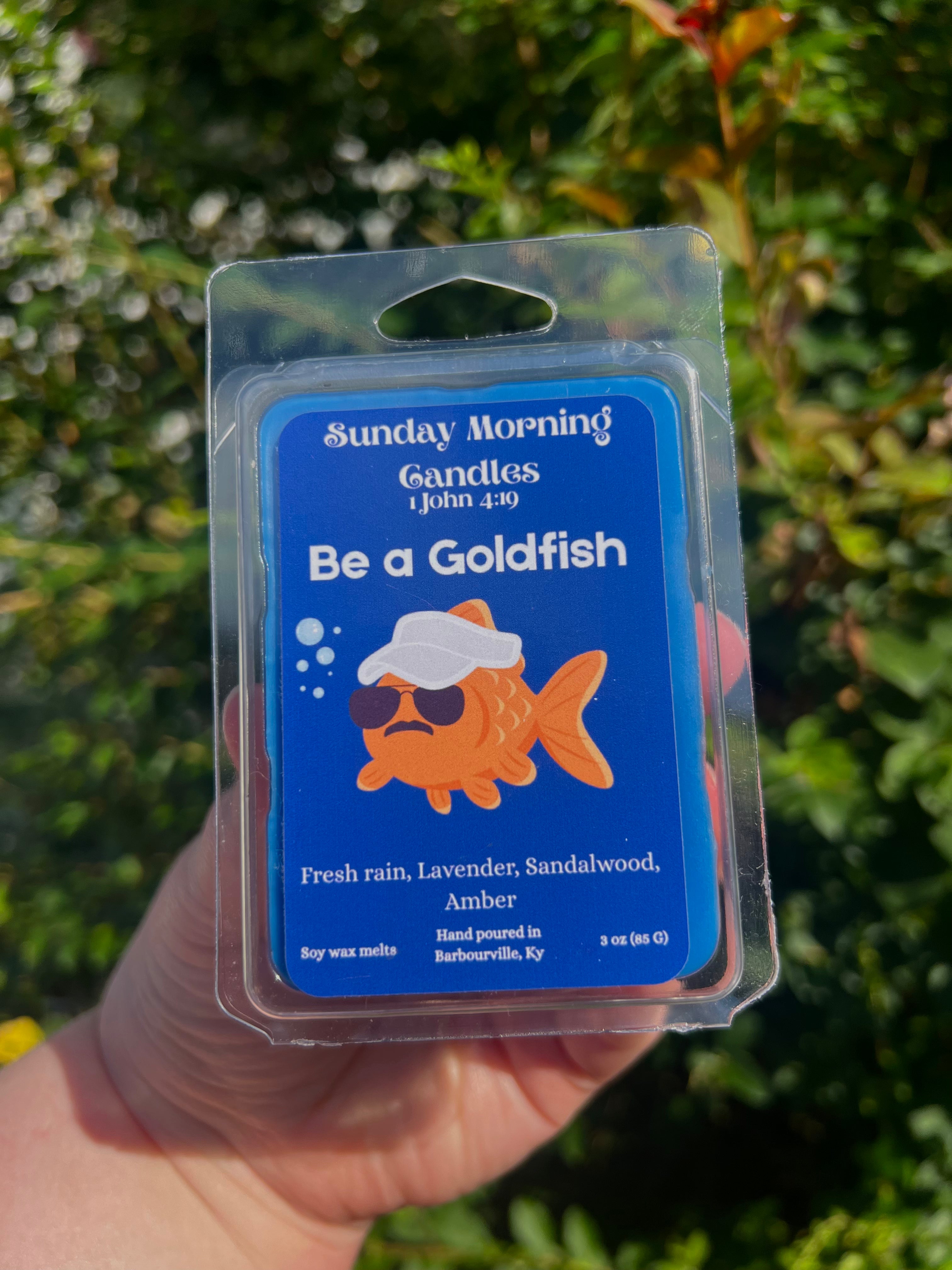 Be a Goldfish Wax Melt