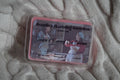 Sookie's Berry Ice Cream Wax Melts